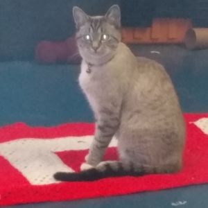 Personalized Blankets